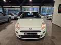 Fiat Punto Punto 1.2i Young II Blanc - thumbnail 2