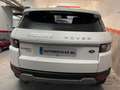 Land Rover Range Rover Evoque 2.2L TD4 Prestige 4x4 Aut. Alb - thumbnail 3