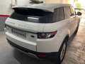 Land Rover Range Rover Evoque 2.2L TD4 Prestige 4x4 Aut. Alb - thumbnail 5