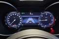 Alfa Romeo Stelvio ALFA ROMEO Stelvio 2.2 Turbodiesel 160 CV AT8 RWD Rosso - thumbnail 20