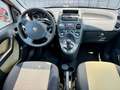 Fiat Panda Panda 1.2 BENZINA/METANO naturalpower Dynamic Mamy Rood - thumbnail 10