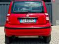 Fiat Panda Panda 1.2 BENZINA/METANO naturalpower Dynamic Mamy Rood - thumbnail 6