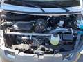 Ligier JS 50 SELECT  Diesel Servo Weiß - thumbnail 17
