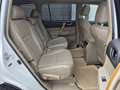 Toyota Highlander 7 Sitz  Aut Hybrid/Benzin Navi Kamera Blanc - thumbnail 16