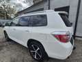 Toyota Highlander 7 Sitz  Aut Hybrid/Benzin Navi Kamera Blanc - thumbnail 4
