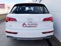 Audi Q5 35 TDI Advanced S tronic Blanc - thumbnail 7
