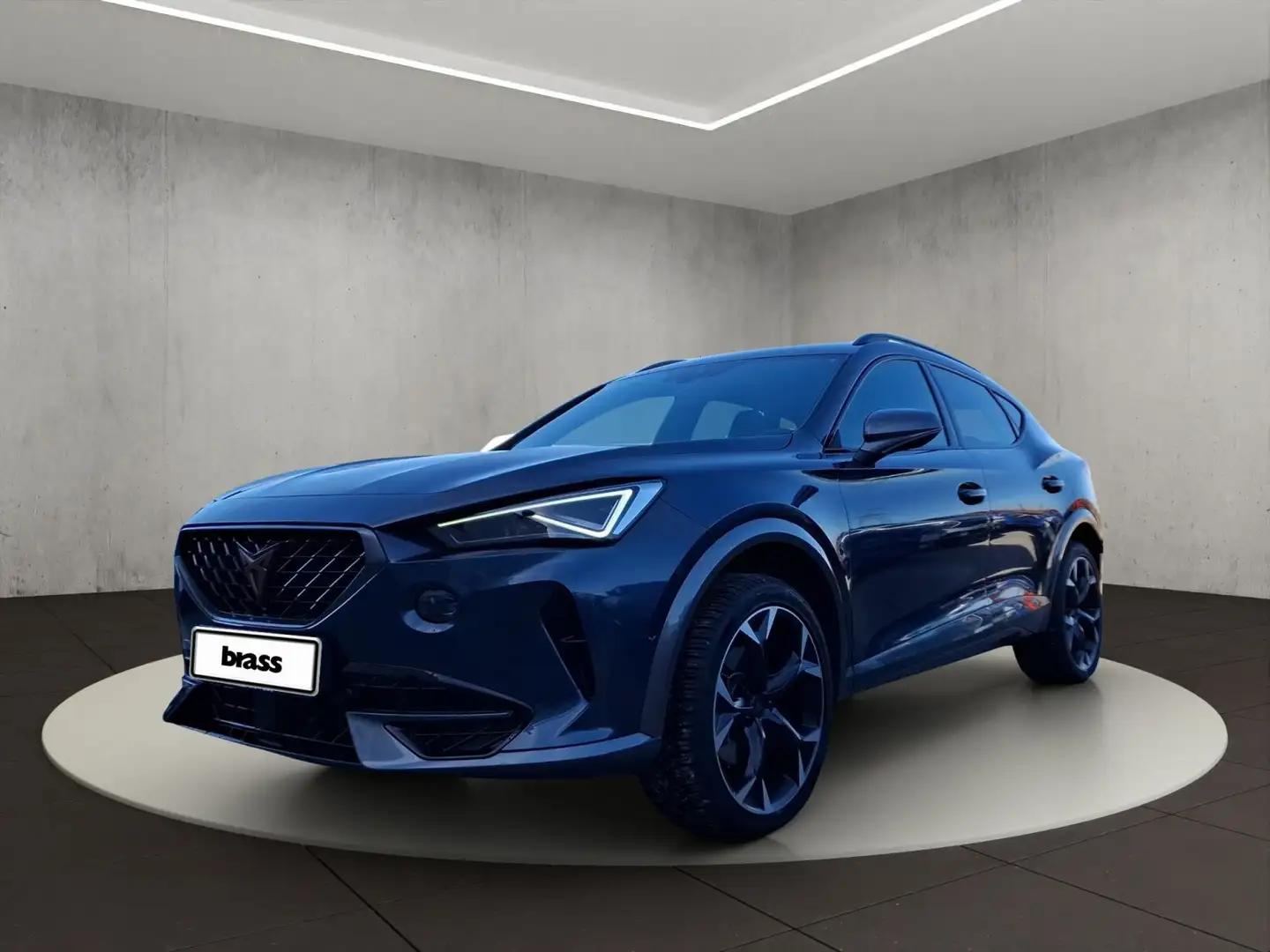 CUPRA Formentor Basis 1.5 TSI OPF Grau - 1