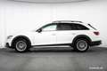 Audi A4 allroad quattro TDI BLACK MATRIX 360° STHZ++ Weiß - thumbnail 3
