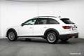 Audi A4 allroad quattro TDI BLACK MATRIX 360° STHZ++ Weiß - thumbnail 47
