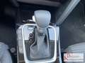 Kia Ceed / cee'd 1.5T 140 DCT7 Vision Komfort-Plus-Paket Aktion Grün - thumbnail 14