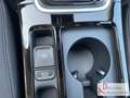 Kia Ceed / cee'd 1.5T 140 DCT7 Vision Komfort-Plus-Paket Aktion Grün - thumbnail 15