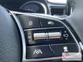 Kia Ceed / cee'd 1.5T 140 DCT7 Vision Komfort-Plus-Paket Aktion Grün - thumbnail 11