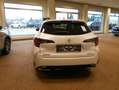 Suzuki Swace 1.8 Hybrid Comfort+ Automatik Blanco - thumbnail 4
