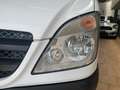 Mercedes-Benz Sprinter 313 CDi L2H2 unico proprietario Wit - thumbnail 19