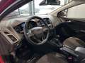 Ford Focus Titanium *NAVI, RFK, XENON, SONY, SHZ* Rojo - thumbnail 4