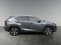 Lexus NX 300h LEXUS 2,5 NX300H AWD EXE '18 Grau - thumbnail 6