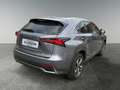 Lexus NX 300h LEXUS 2,5 NX300H AWD EXE '18 Grau - thumbnail 5
