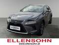 Lexus NX 300h LEXUS 2,5 NX300H AWD EXE '18 Grau - thumbnail 1