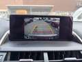 Lexus NX 300h LEXUS 2,5 NX300H AWD EXE '18 Grau - thumbnail 28
