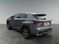 Lexus NX 300h LEXUS 2,5 NX300H AWD EXE '18 Grau - thumbnail 3