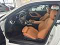 BMW 230 230i Leder+Schiebedach +Kamera+Head-Up Display Blanc - thumbnail 8