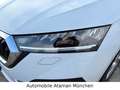Skoda Octavia 2.0 TDI Combi Style DSG / HuD / LED Weiß - thumbnail 26