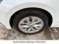 Skoda Octavia 2.0 TDI Combi Style DSG / HuD / LED Weiß - thumbnail 32
