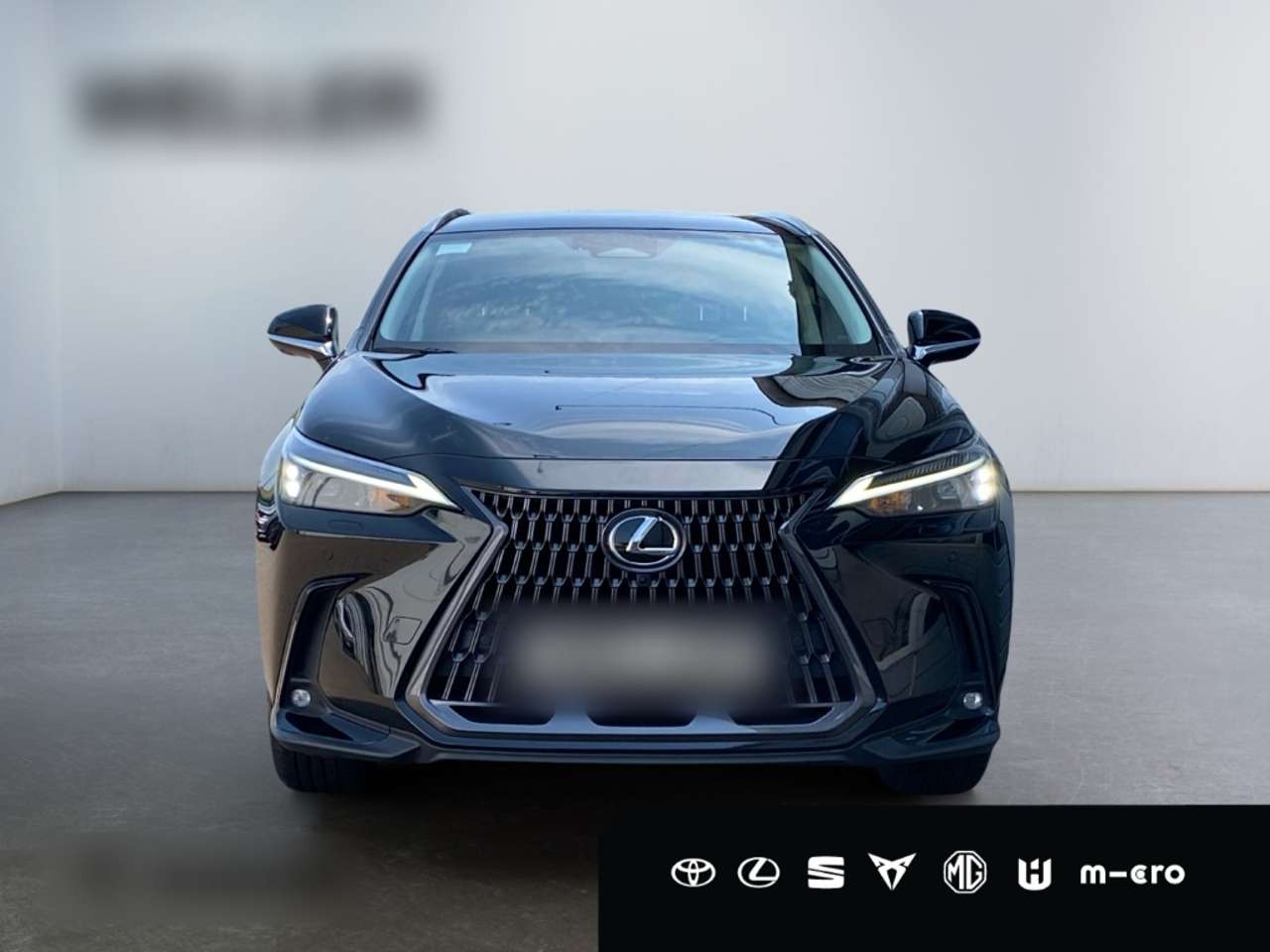 Lexus-NX 350h-Executive Line *HUD*360°*Leder*el Heck*