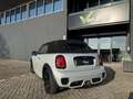 MINI Cooper S Cabrio Mini 2.0 Hammersmith Navi Camera Harman Kardon Argent - thumbnail 4