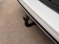 Ford Grand Tourneo Connect ALLRAD Active 7-SITZE Weiß - thumbnail 20