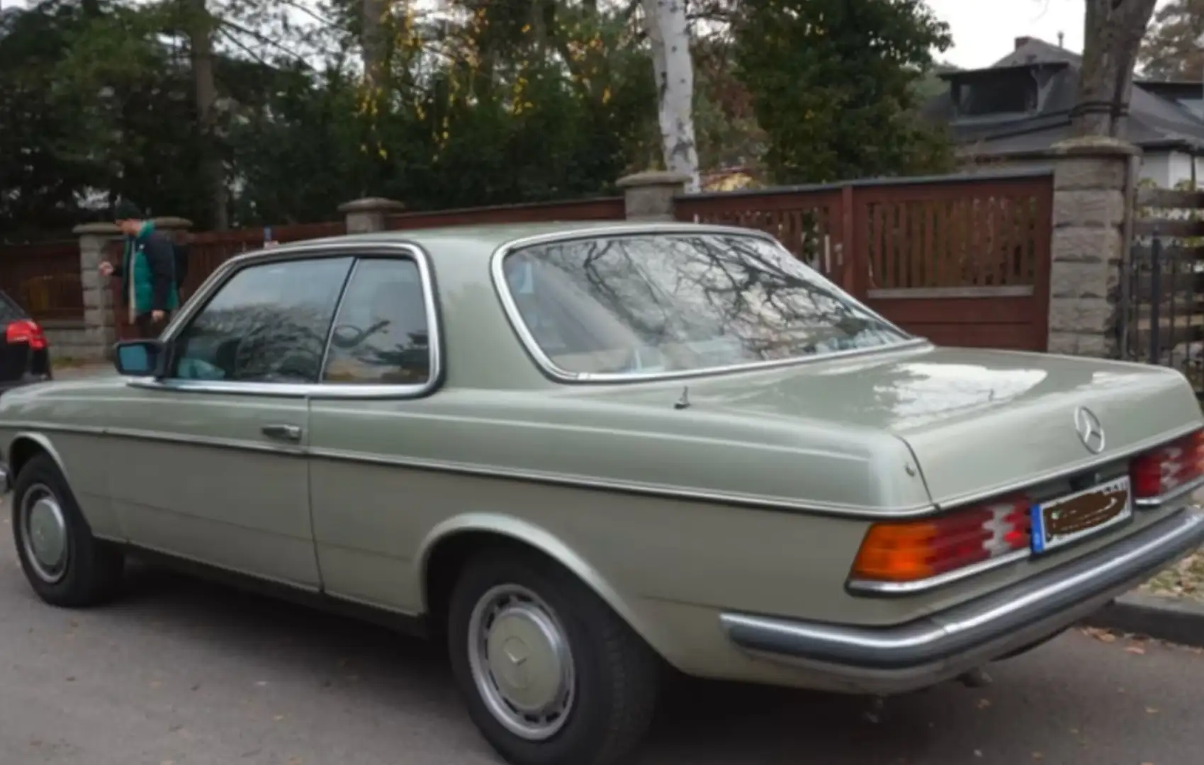 Mercedes-Benz 230 W123 Verde - 1