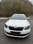 Skoda Octavia Combi 2.0 TDI (Green tec) DSG L&K - thumbnail 1
