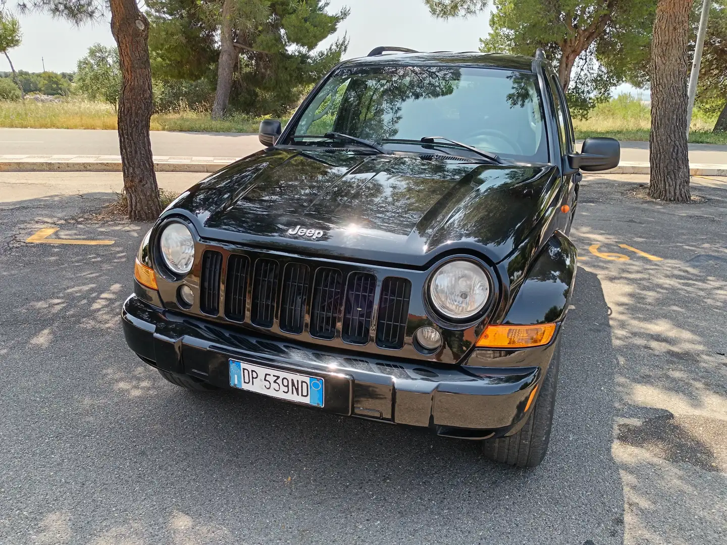 Jeep Cherokee Cherokee II 2008 2.8 crd Limited auto FL Negro - 2