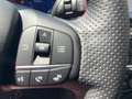 Ford Puma ST-Line X LED+Navi+Kamera+Winterpaket Blau - thumbnail 13