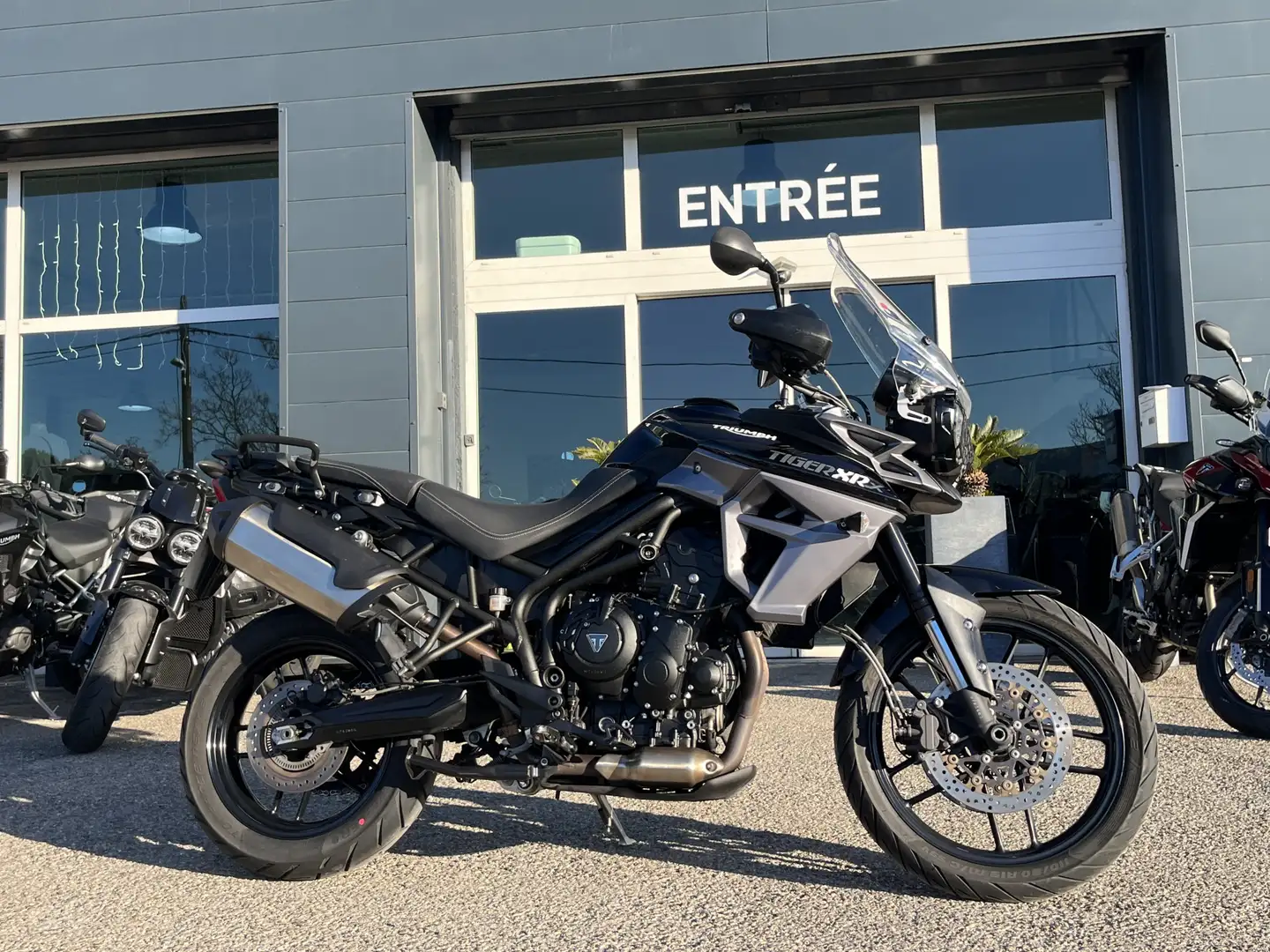 Triumph Tiger 800 Negru - 1