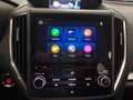 Subaru XV 2.0i Hybrid Executive Plus CVT Blanco - thumbnail 17
