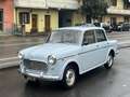 Fiat 1100 103 G Speciale SPECIAL Blau - thumbnail 1