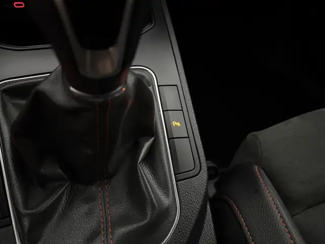 Seat Ibiza view 29