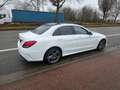 Mercedes-Benz C 300 e 4-Matic PHEV AMG 1°EIG. FULL OPTIES NEW STAAT Blanc - thumbnail 7