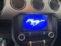 Ford Mustang Cabrio 5.0 Ti-VCT V8 Aut. GT Grau - thumbnail 13