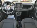 Fiat Panda 1.0 70CV ICON Hybrid Schwarz - thumbnail 6