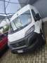 Fiat Ducato 35 2.2 Mjt 140CV PC-TM Furgone Blanco - thumbnail 3