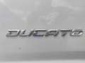 Fiat Ducato 35 2.2 Mjt 140CV PC-TM Furgone Blanco - thumbnail 12