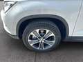SEAT Ateca 1.0 Style Eco TSI Klima LED PTS Shz Weiß - thumbnail 21