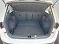SEAT Ateca 1.0 Style Eco TSI Klima LED PTS Shz Weiß - thumbnail 19