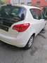 Opel Meriva Meriva 1,4 Ecotec Cool Weiß - thumbnail 10