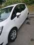 Opel Meriva Meriva 1,4 Ecotec Cool Weiß - thumbnail 8