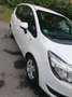 Opel Meriva Meriva 1,4 Ecotec Cool Weiß - thumbnail 9