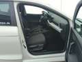 SEAT Ibiza Style 1.0TSI 5-Gang  Sitzh., Temp., LED Weiß - thumbnail 18