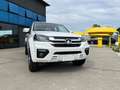 Great Wall Steed DC 2.4 Work Gpl 4wd NUOVO PRONTA CONSEGNA White - thumbnail 19